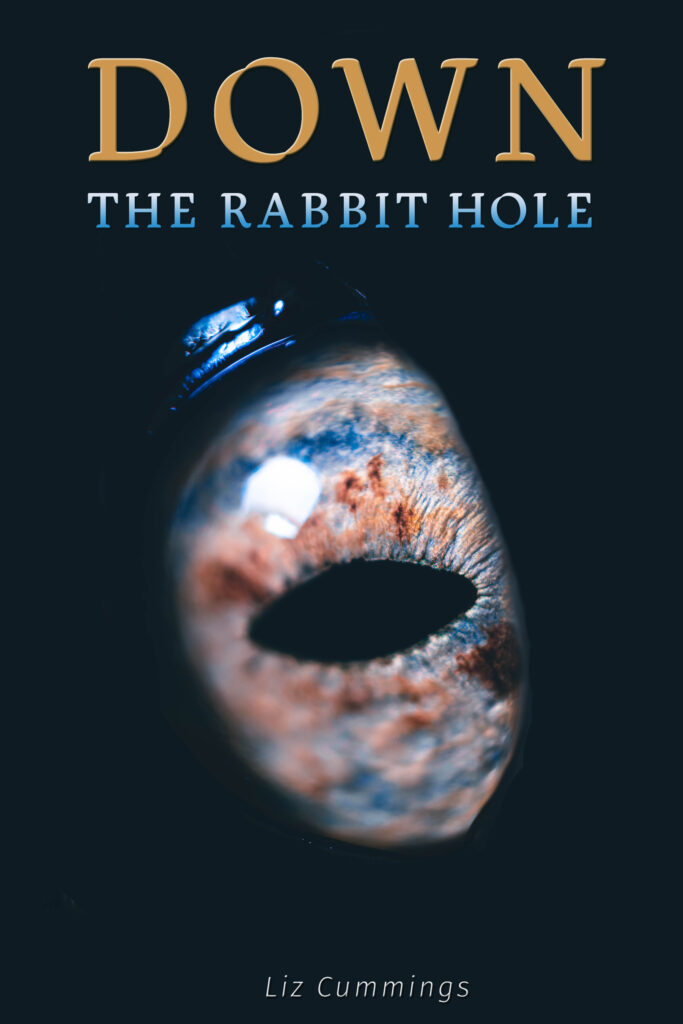 Down the Rabbit Hole Cover